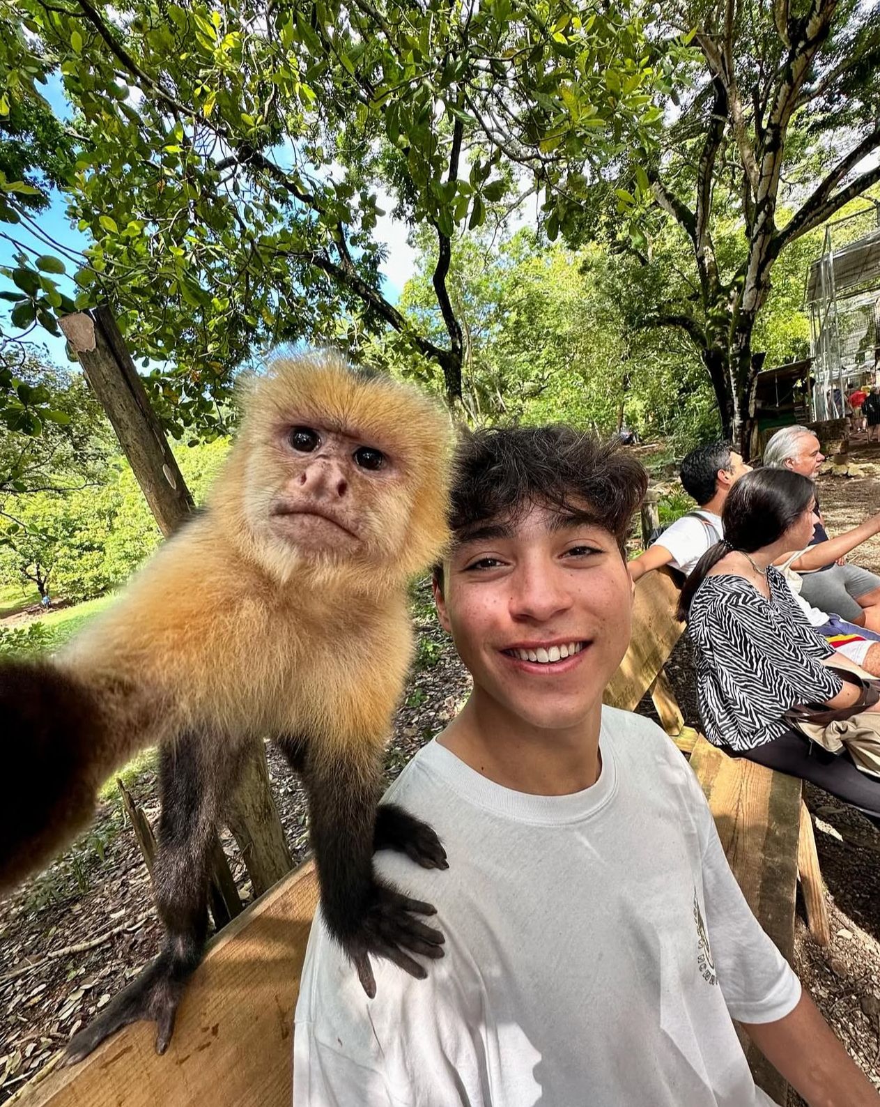 Sloth & Monkey Sanctuary with Roatan City Highlights