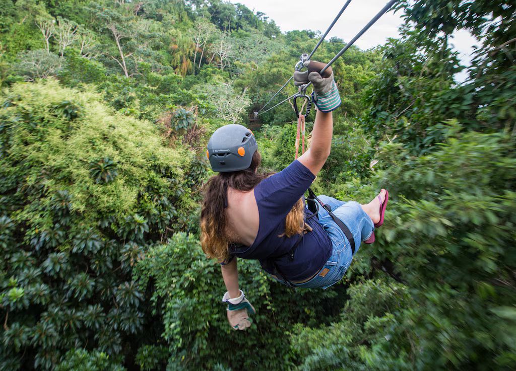 Sloth & Monkey Sanctuary Experience  + Zipline + Island Tour