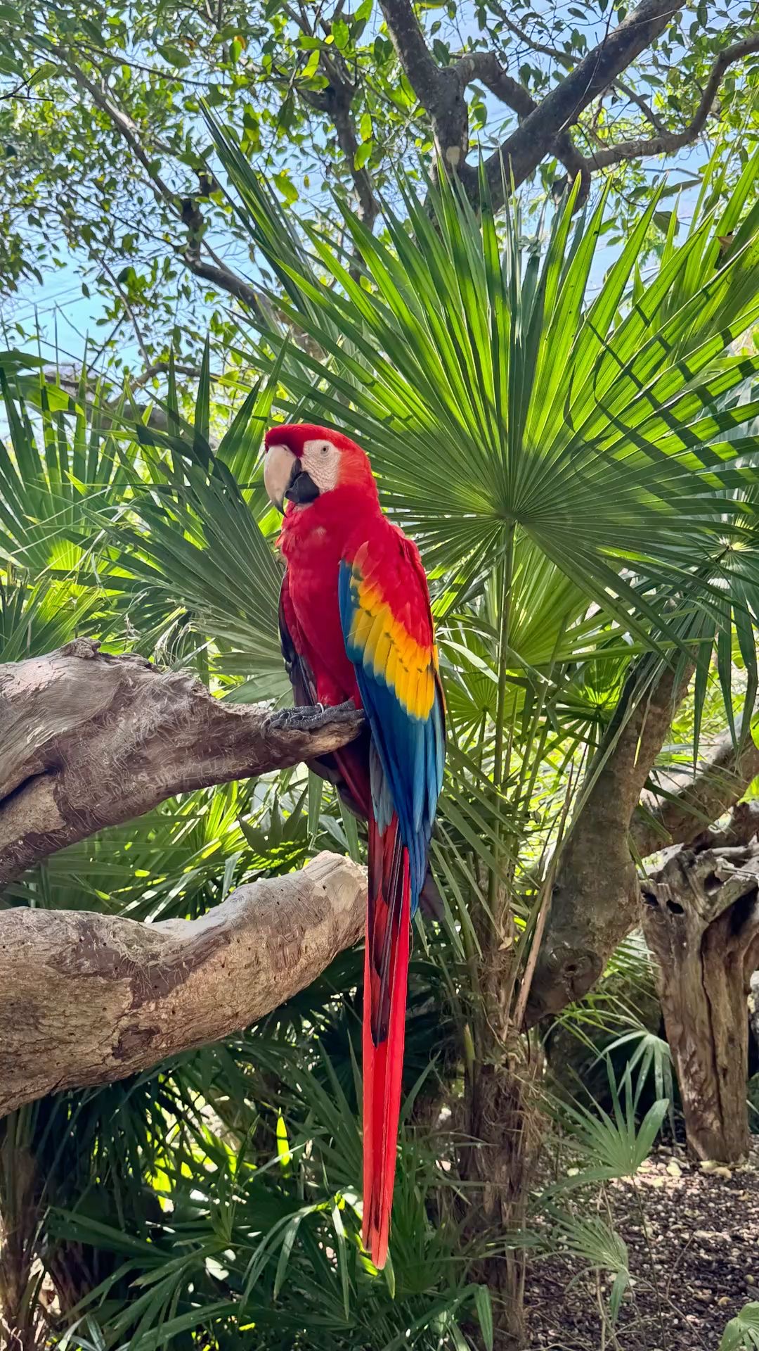 Paquete Roatán Highlights: Nature & Flavor - All Inclusive