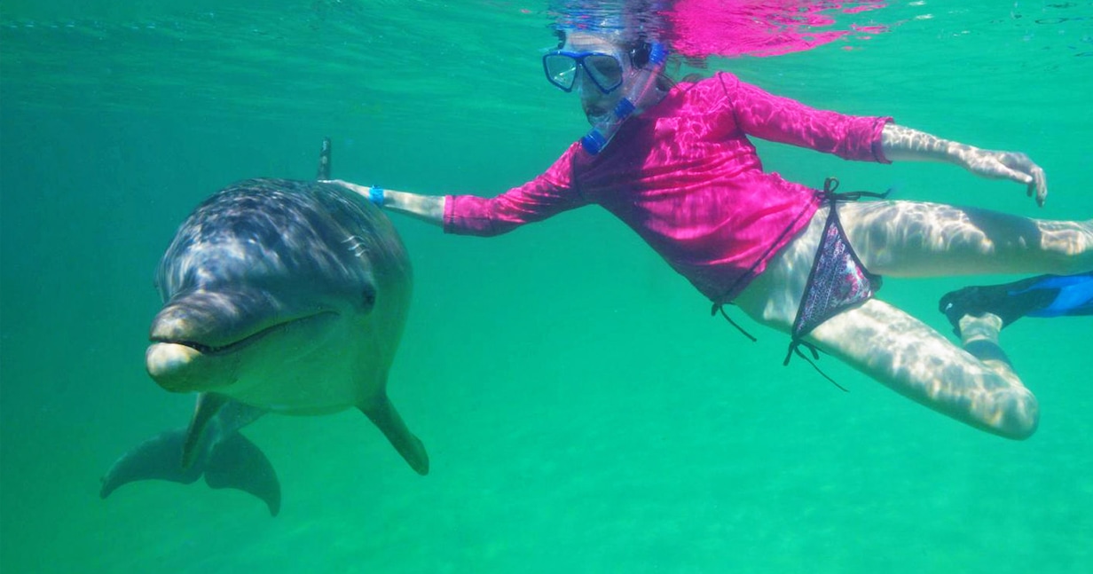 Paquete Dolphin Swim & Snorkel